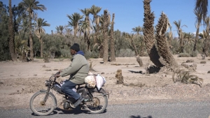 Dans le sud du Maroc, des oasis ancestrales menacées d&#039;extinction