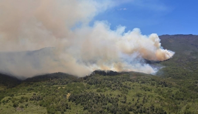 Forêts : l&#039;Afrique brûle aussi, mais pas comme l&#039;Amazonie