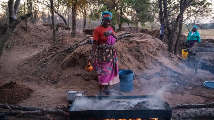 En Afrique du Sud, le sel sacré qui épice la grande cuisine