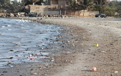 BAIE DE HANN Martyre écologique ou ineptie environnementale ?