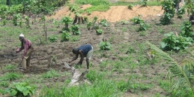 Togo: après l&#039;Ethiopie, le fonds émirati Khalifa investit dans le secteur agricole du Togo