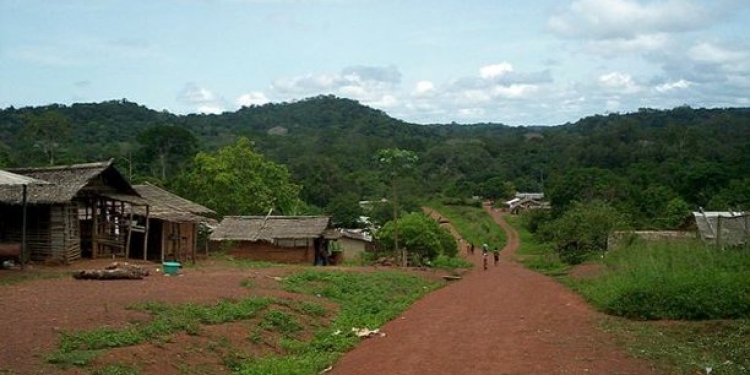 UE-Congo  : renforcement de la coopération dans le domaine de la gestion des ressources forestières