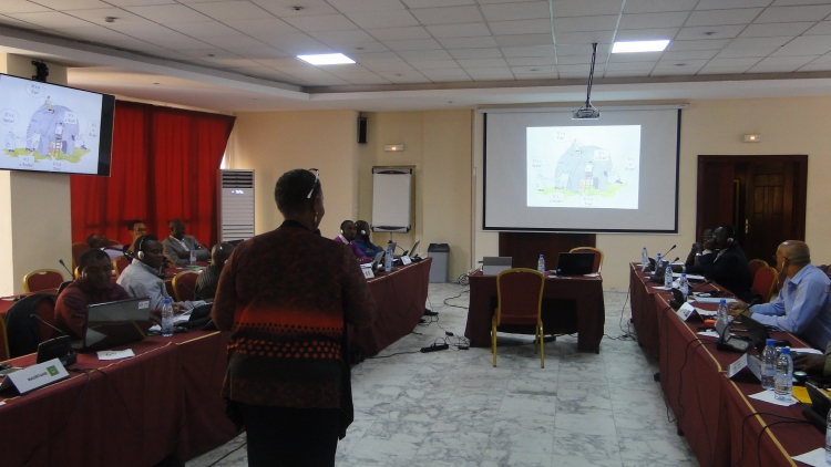 Atelier du programme de certification CEDEAO pour les compétences en énergie durable.