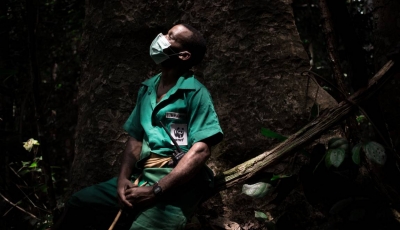 D&#039;anciens chasseurs pygmées tentent de sauver les derniers éléphants de Centrafrique