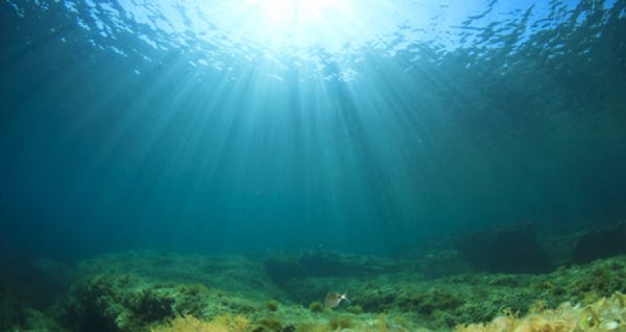 Ce que la couleur des océans révèle du changement climatique