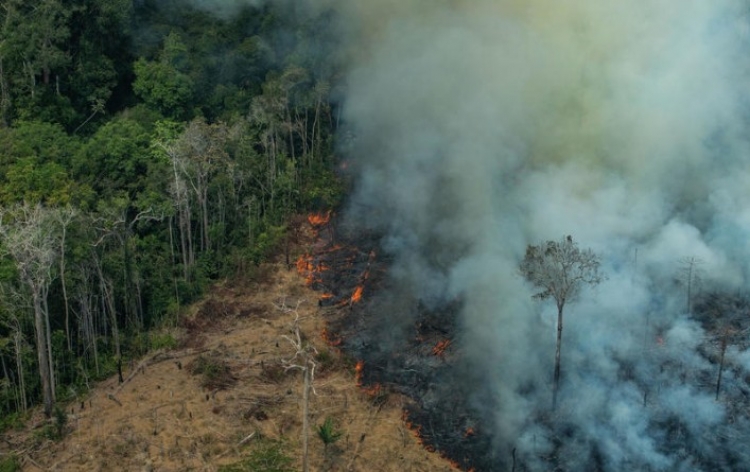 ÉTAT D’URGENCE CLIMATIQUE : LA TERRE POURRAIT AVOIR FRANCHI PLUSIEURS POINTS DE NON-RETOUR