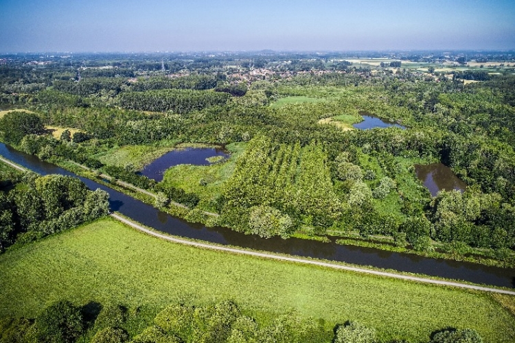 LES ZONES HUMIDES DISPARAISSENT TROIS FOIS PLUS VITE QUE LES FORÊTS... ET C’EST TRÈS GRAVE