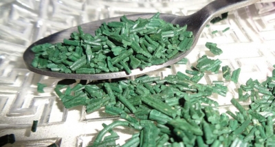 Les incroyables bienfaits nutritionnels d&#039;une micro-algue : la spiruline