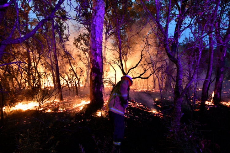 [BONNE NOUVELLE] POUR LA PREMIÈRE FOIS DEPUIS HUIT MOIS, IL N’Y A PLUS DE FEU DANS L’ÉTAT LE PLUS TOUCHÉ D&#039;AUSTRALIE