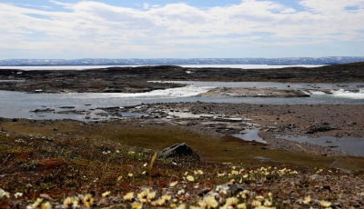 Le Canada étend la protection des zones marines en Arctique