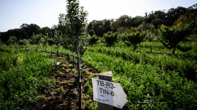 L&#039;agroécologie, mille définitions pour une agriculture plus propre