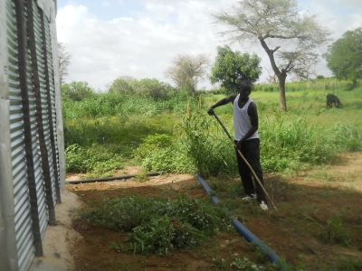 REPORTAGE : &quot;Beud-dieng&quot;,un laboratoire réussi de la souveraineté alimentaire.