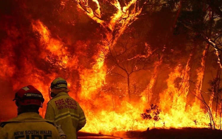 Incendies en Australie: témoignage d&#039;un habitant du lac Conjola