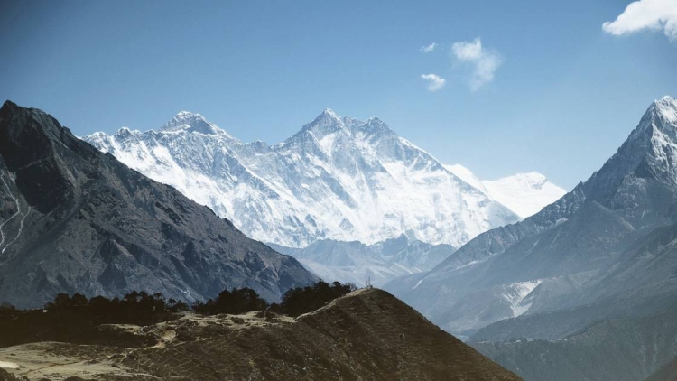 Réchauffement climatique : dans l&#039;Himalaya, la végétation gagne de l&#039;altitude