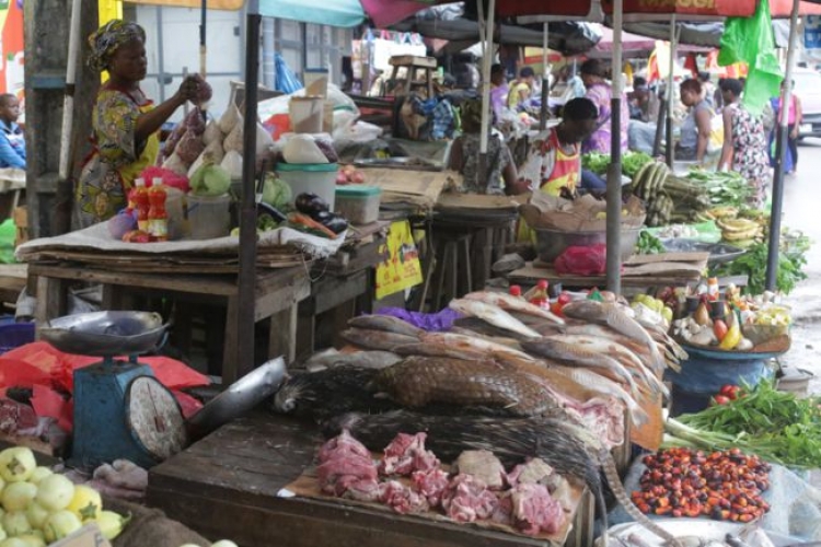 Au Gabon, les ventes de pangolin flanchent avec le coronavirus