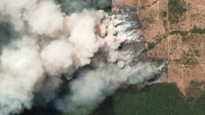 Déclaration d&#039;Inger Andersen sur les incendies en cours dans la forêt amazonienne