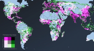 Une cartographie interactive des zones du monde à protéger en priorité