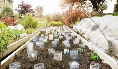 Agriculture : à la découverte de la permaculture