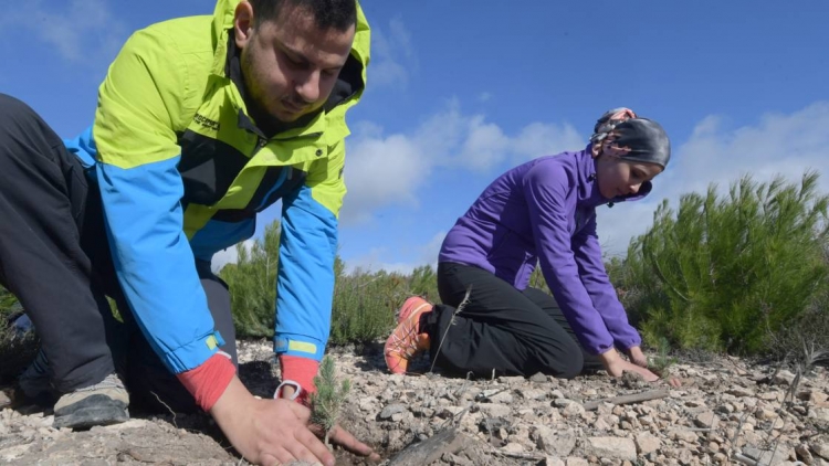 Graines d&#039;espoir: des bénévoles tunisiens au chevet des forêts du pays