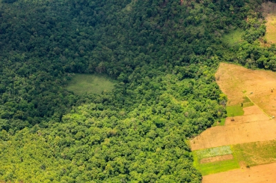 LES INCENDIES D’AMAZONIE SIGNENT LE RÉVEIL DES ENTREPRISES SUR LA TRAÇABILITÉ DE LEURS CHAÎNES D&#039;APPROVISIONNEMENT