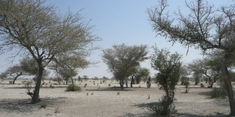 Changement climatique : l&#039;Allemagne affecte une subvention à la recherche en Afrique australe