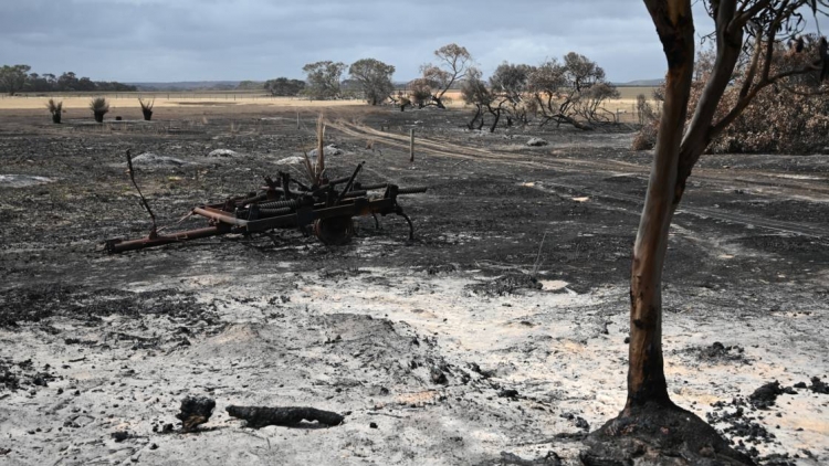 Australie: les agriculteurs comptent leurs plaies