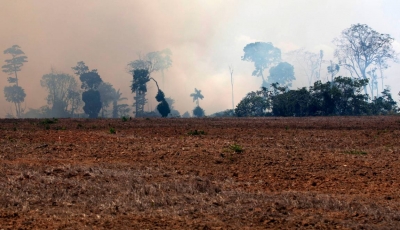 Amazonie: des élus de Guyane française veulent &quot;un fonds international&quot;