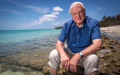 Sir David Attenborough: &#039;Now is the moment&#039;