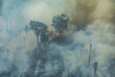 BIODIVERSITÉ, CO2, OXYGÈNE... QUELS SONT LES IMPACTS DES FEUX EN AMAZONIE POUR LA PLANÈTE ?