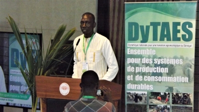 DyTAES: Dynamique sur la transition agroécologique au Sénégal