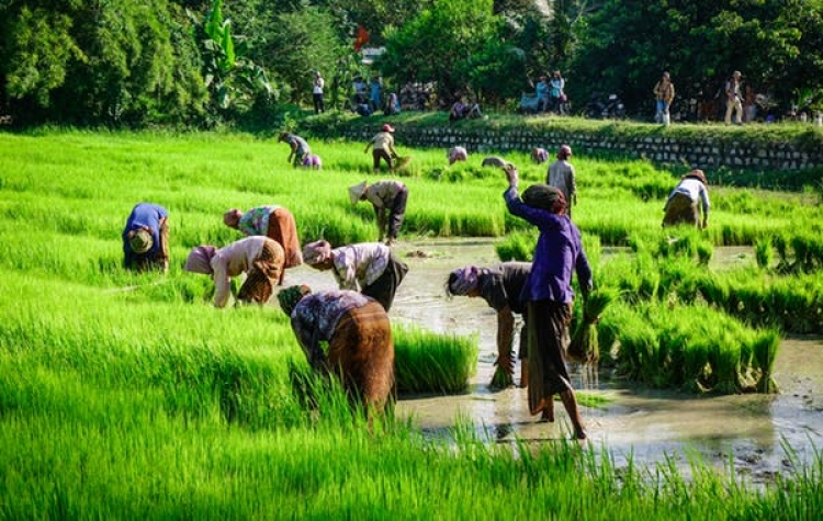 Réfugiés climatiques : cette crise qui couve au Vietnam