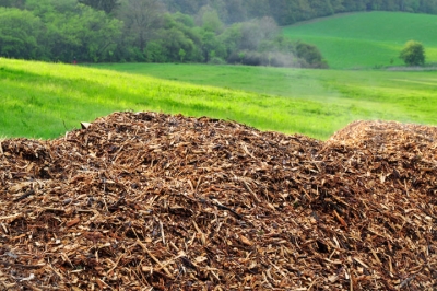 Energie : qu&#039;est-ce que la biomasse ?