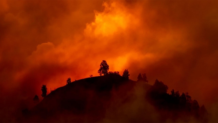 Il y a 12 ans, un rapport avait prédit la saison d&#039;incendies qui ravage l&#039;Australie