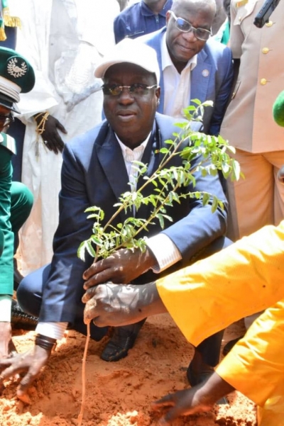 Sénégal : Journée nationale de l’arbre ,Plus de 13 millions de plants mobilisés .