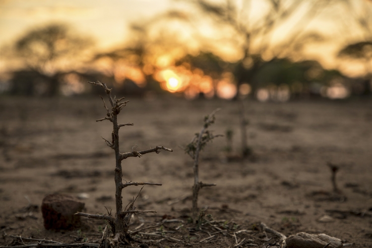 La famine menace 45 millions de personnes dans les pays d’Afrique australe