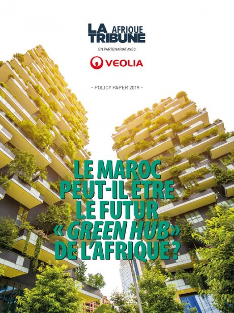 Policy Paper : le Maroc peut-il être le futur « Green Hub » de l&#039;Afrique ?